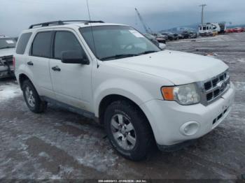  Salvage Ford Escape