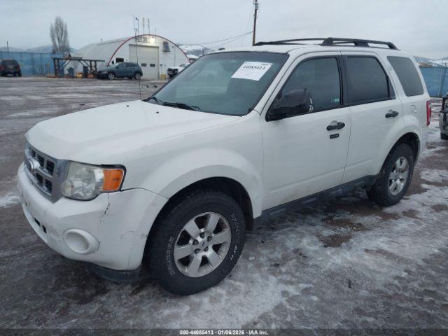 Ford Escape Xlt Automatic Image 10