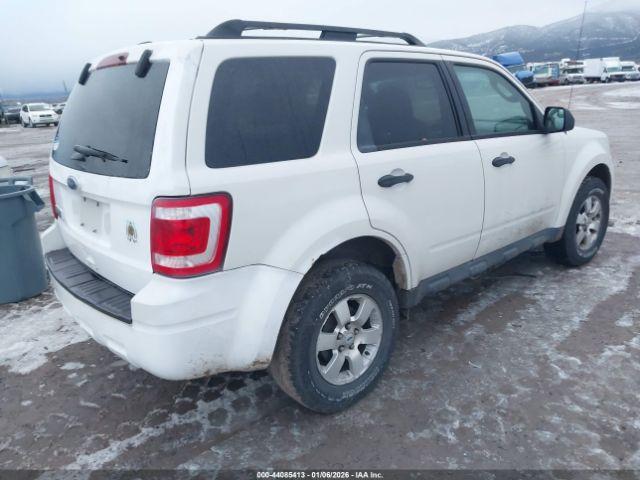 Ford Escape Xlt Automatic Image 6