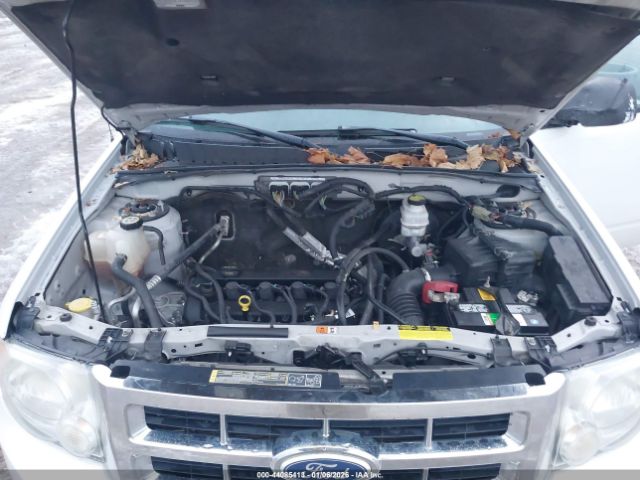 Ford Escape Xlt Automatic Image 3