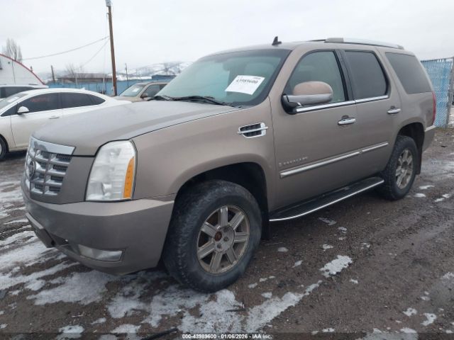 Cadillac Escalade Standard Image 10