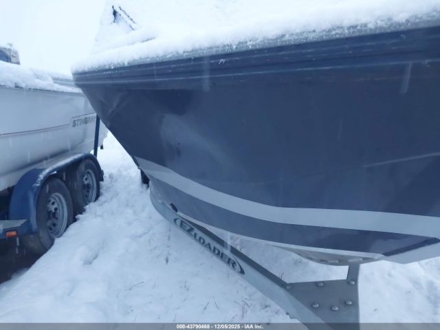 Falcon 2025 Image 10